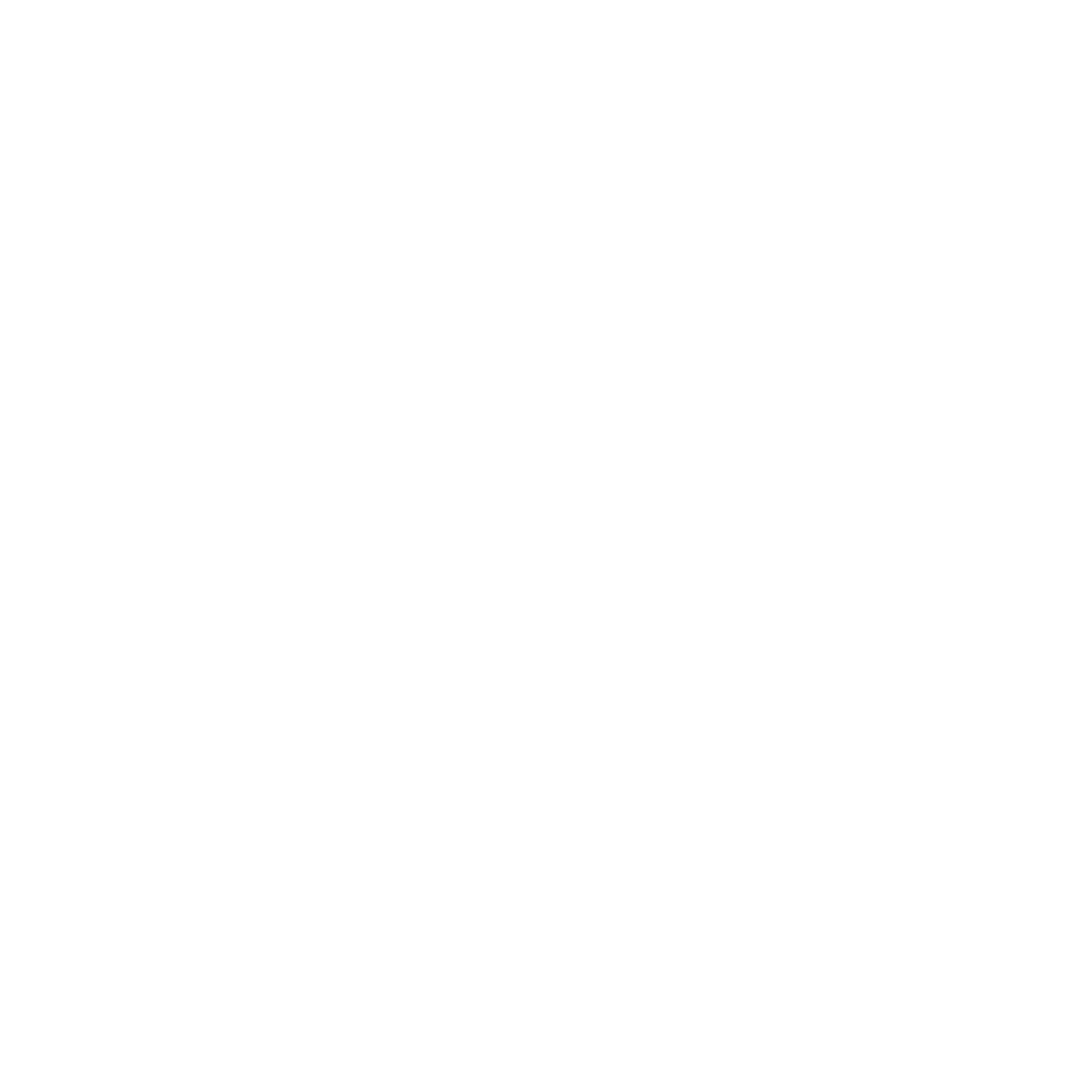 Coise Logo