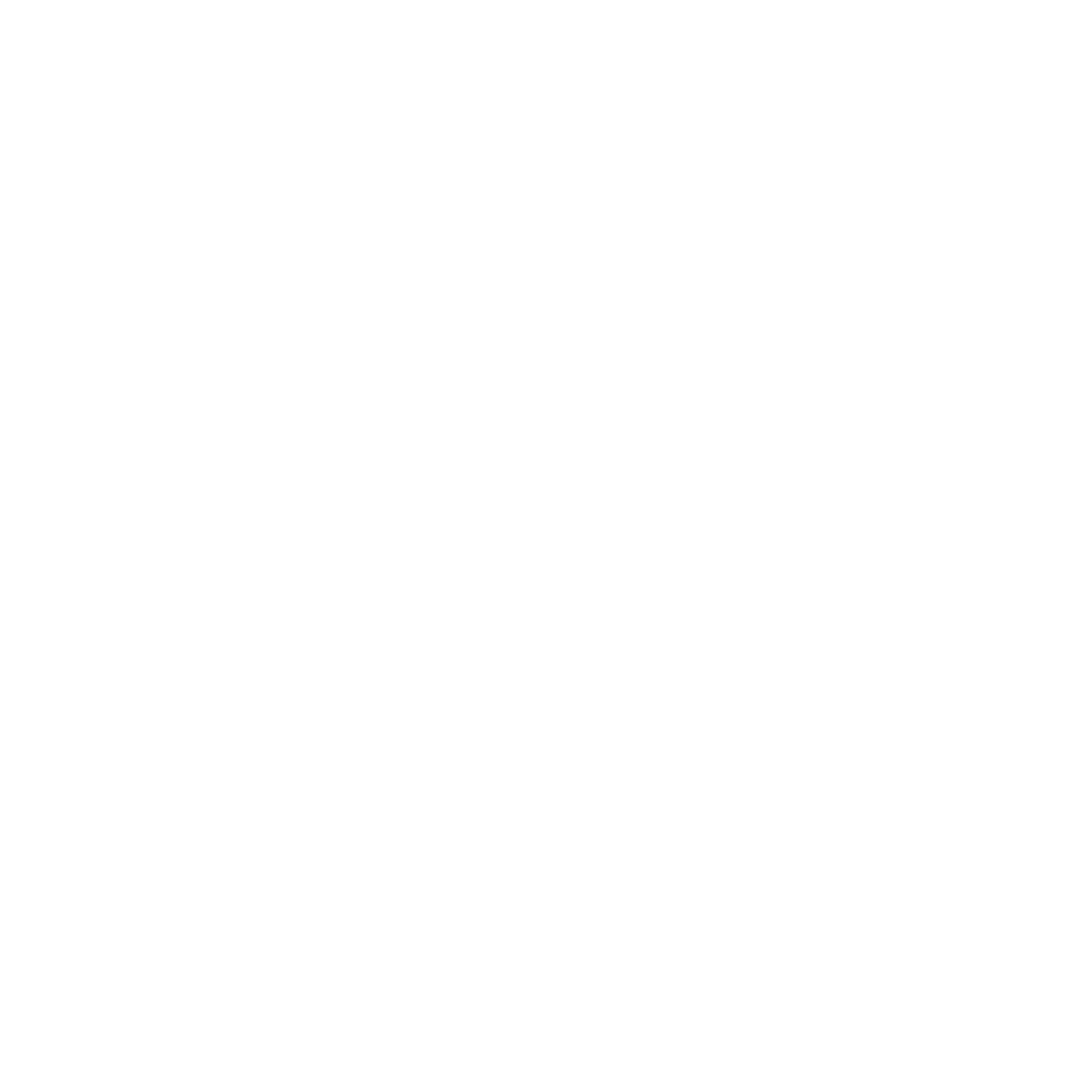 Nike Pro 360 Logo